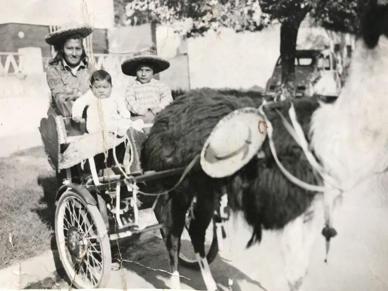 Otro nieto recupera su identidad y su historia